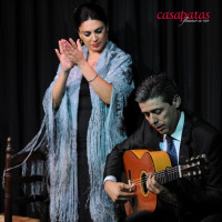 /album/fotogaleria-fotos/e3432ddd6e930e03d211ba1aac7d1dc3-flamenco-sierra-jpg/